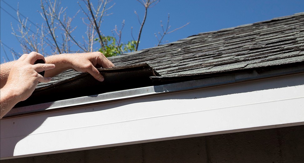 Shingle Roof Inspection