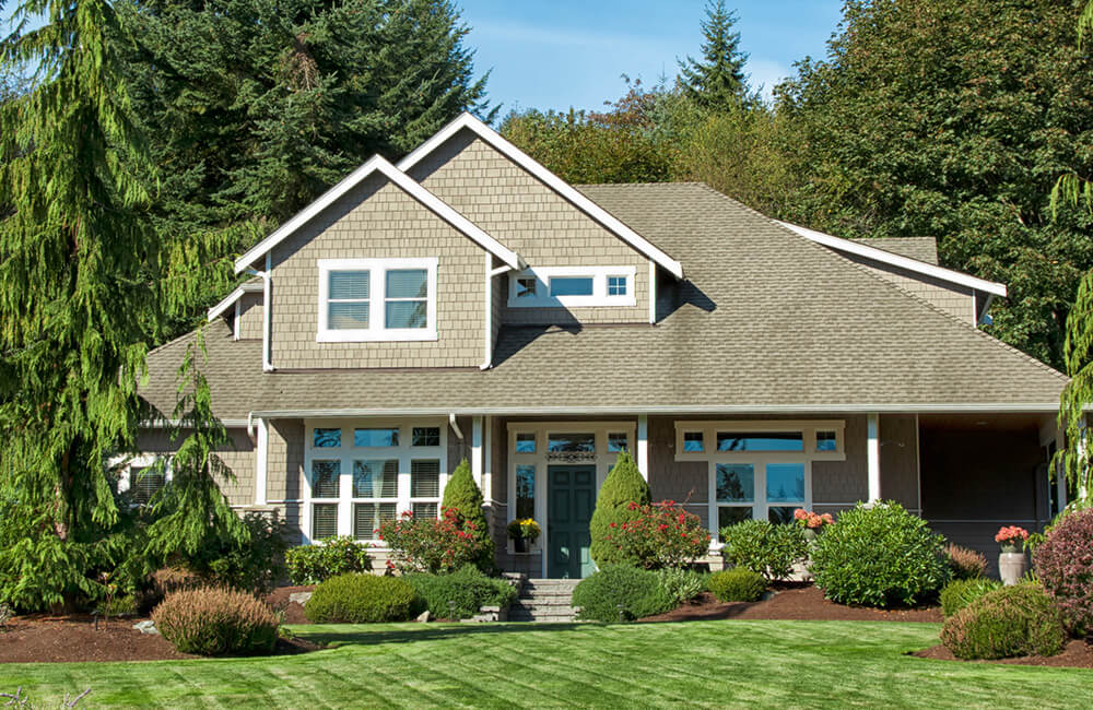 new windows installed in westfield