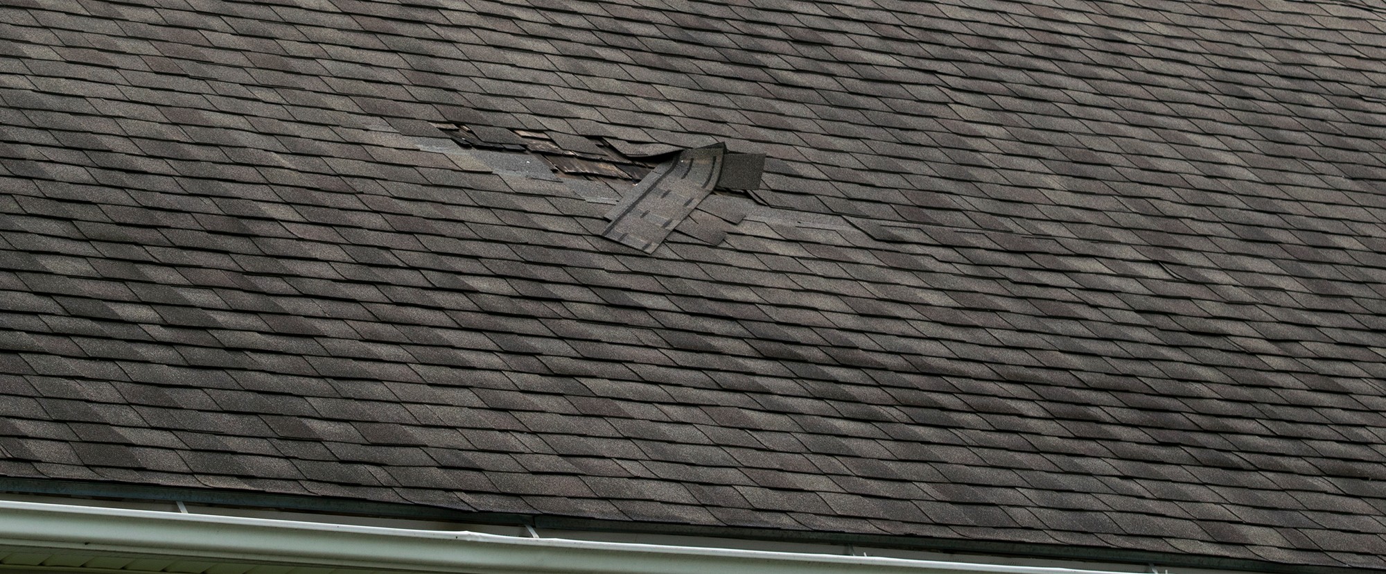 Damaged roof shinlges on roof in Indianapolis