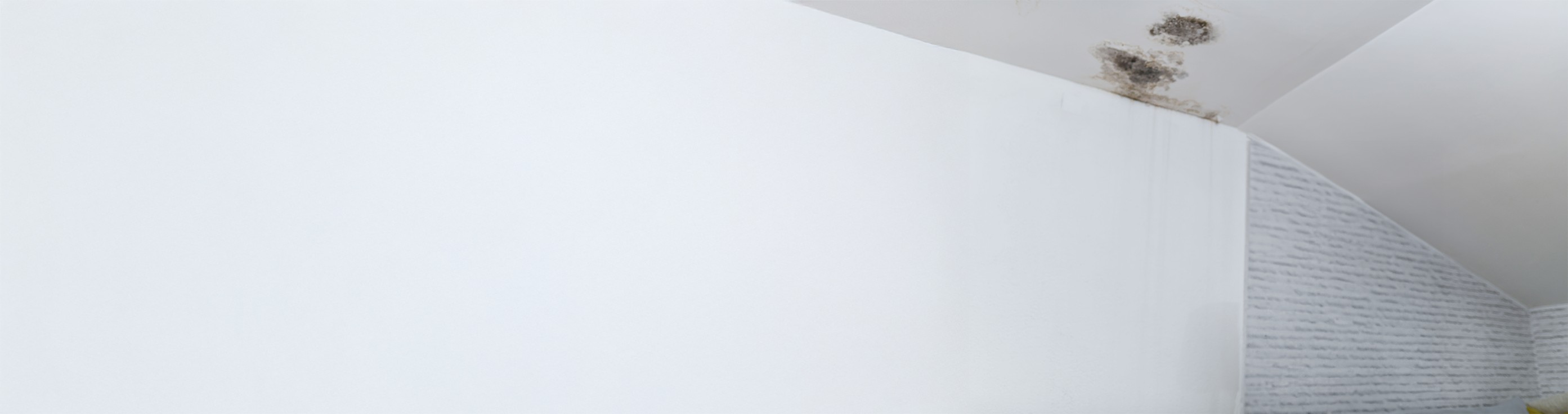 Roof insurance claims officer inspecting roof damage